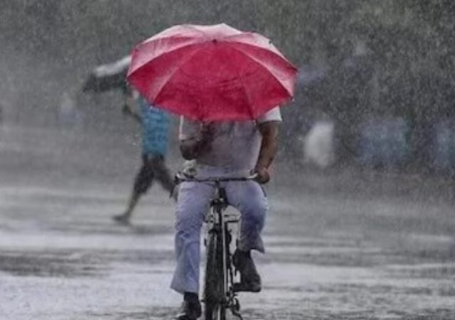 Rain Update: जोरदार फटकेबाजीनंतर आजही पावसाची रिमझिम सुरूच, रत्नागिरी, सिंधुदुर्ग, कोल्हापूर, सांगली आणि साताऱ्याला रेड अलर्ट