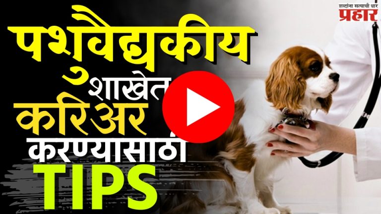 Career : पशुवैद्यकीय शाखेत करा करिअर! सुंदर, संपन्न आयुष्य जगा