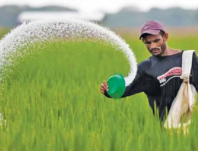बियाणे खतांचा काळाबाजार रोखण्यासाठी भरारी पथके