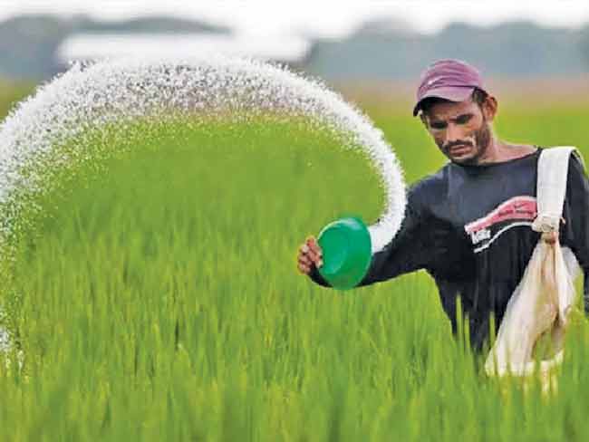 बियाणे खतांचा काळाबाजार रोखण्यासाठी भरारी पथके