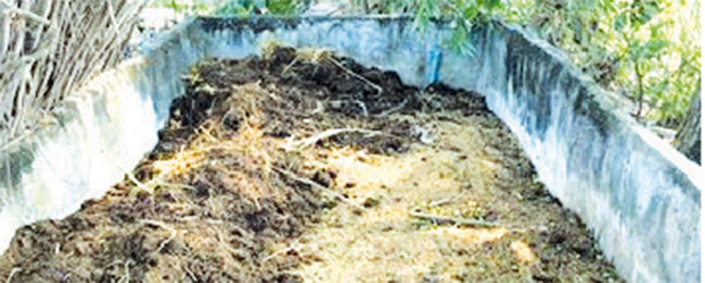कोकणातली शेणाची गायरी