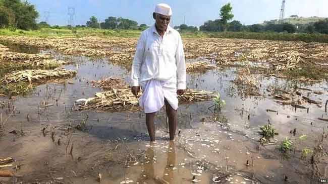 ‘शेतकऱ्यांना हेक्टरी  ५० हजारांची मदत करा’