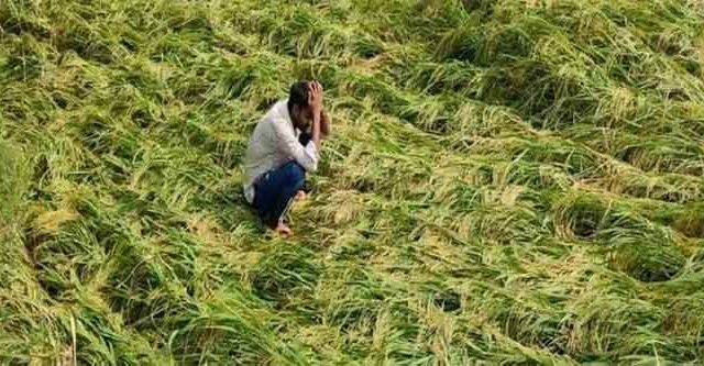 अवकाळीने शेतकऱ्यांवर मोठे संकट