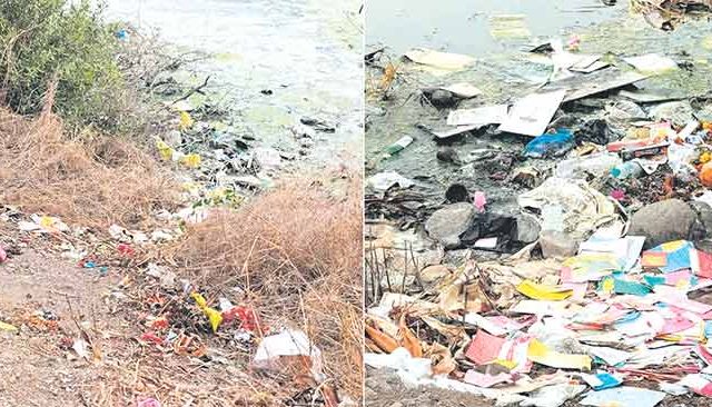 फ्लेमिंगोंच्या अधिवासावर परिणाम होण्याची अभ्यासकांनी वर्तवली शक्यता