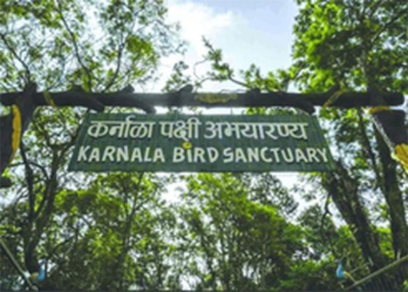 सोमवारपासून अभयारण्यात पक्षांच्या गणनेस सुरुवात