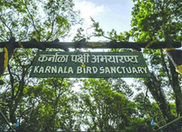 सोमवारपासून अभयारण्यात पक्षांच्या गणनेस सुरुवात