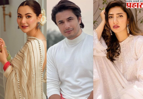 Pakistani Celebrities: भारतात पाकिस्तानी सेलिब्रिटींचे इंस्टाग्राम अकाउंट सस्पेंड