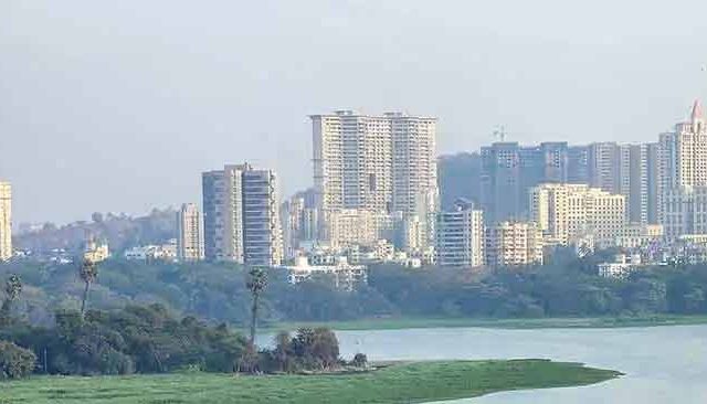 पवई तलावात विसर्जन बंदी, स्थानिक रहिवासी, पर्यावरणप्रेमीचा विरोध