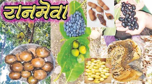 अवकाळीने रानमेवा रानातच…!