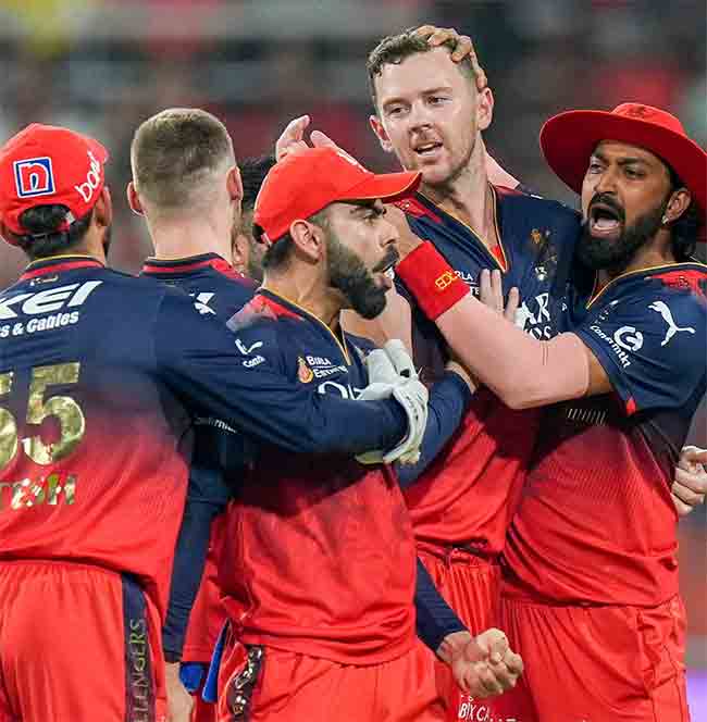PBKS vs RCB, IPL 2025:  पंजाबवर एकतर्फी विजय मिळवत आरसीबीची आयपीएलच्या फायनलमध्ये धडक