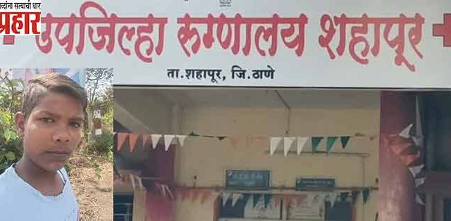 १४ वर्षीय मुलाचा सर्पदंशाने मृत्यू