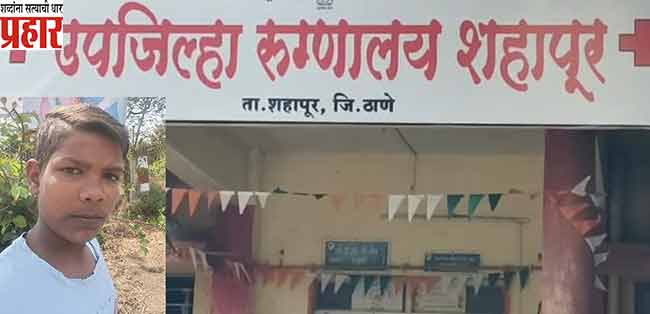 १४ वर्षीय मुलाचा सर्पदंशाने मृत्यू