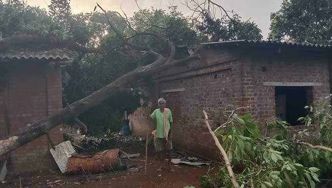 दोन दिवसांच्या वादळी पावसाने २,१२४ घरांची पडझड