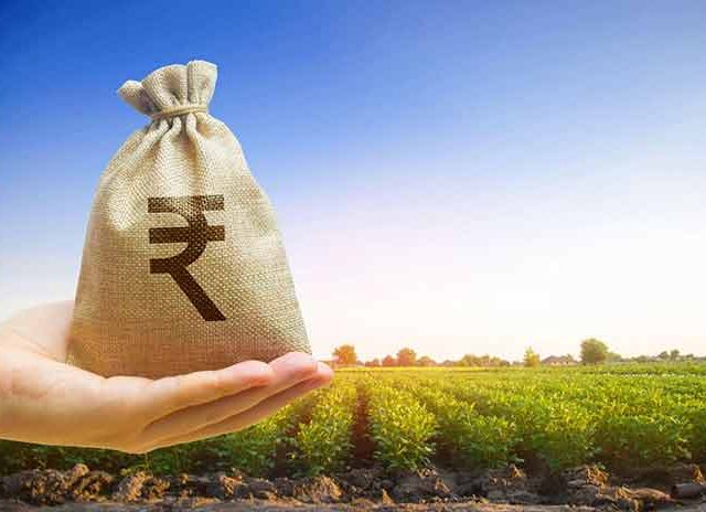 शेतकऱ्यांना पीक कर्ज माफीची आस