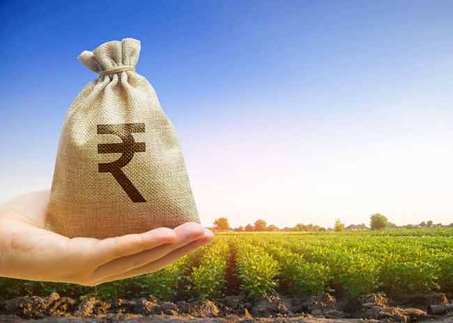 शेतकऱ्यांना पीक कर्ज माफीची आस