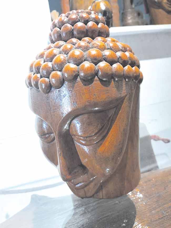 वादळात पडलेली झाडे झाली पुन्हा जिवंत?