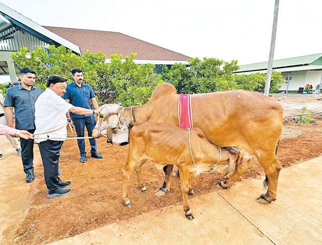 नातवाचे गो-शाळा प्रेम अन् आजोबांची स्वप्नपूर्ती...!