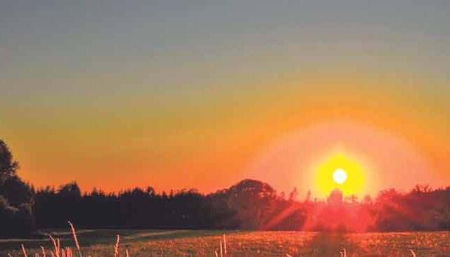 सूर्य कोठे जात नाही