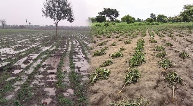 नुकसानग्रस्तांसाठी मिळाला पाऊणे दोन कोंटीचा निधी