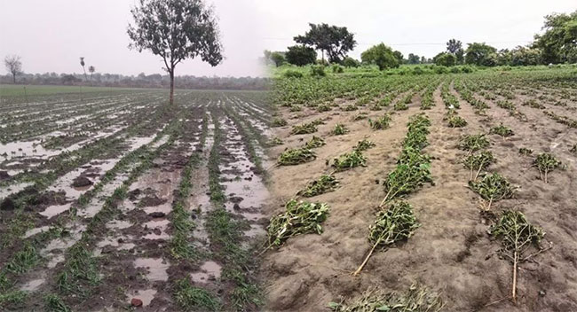 नुकसानग्रस्तांसाठी मिळाला पाऊणे दोन कोंटीचा निधी