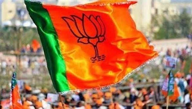 भाजपाची स्वबळाची चाचपणी