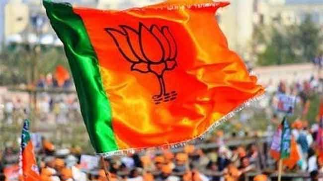 भाजपाची स्वबळाची चाचपणी