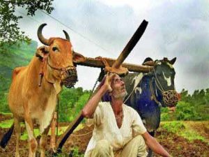 Monsoon Update : विदर्भात मान्सून निराशाजनक; नागपूरसह पाच जिल्हे रेड झोनमध्ये? शेतकरी चिंताग्रस्त!