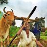 Nashik : एल निनोचं संकट! नाशिकच्या शेतकऱ्यांची वाढली धाकधूक; खरीप हंगामासाठी ‘आत्मा’च्या महत्त्वाच्या सूचना