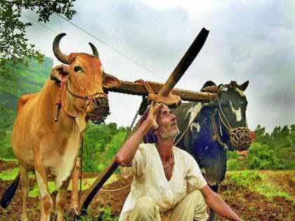 Monsoon Update : विदर्भात मान्सून निराशाजनक; नागपूरसह पाच जिल्हे रेड झोनमध्ये? शेतकरी चिंताग्रस्त!