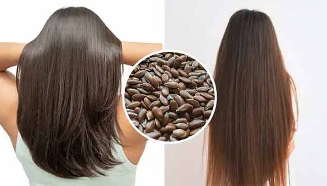 फक्त १० रुपयांत 'रॉकेट स्पीड'ने वाढतील केस! अळशीच्या बियांचा हा खास उपाय नक्की करून पहा