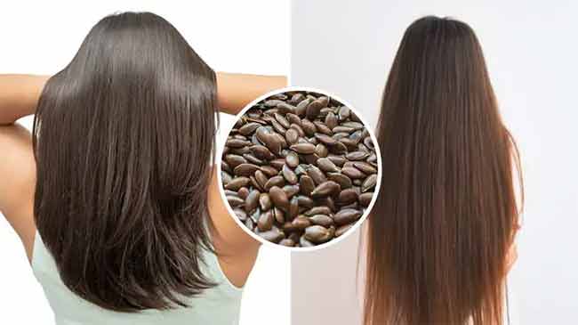 फक्त १० रुपयांत ‘रॉकेट स्पीड’ने वाढतील केस! अळशीच्या बियांचा हा खास उपाय नक्की करून पहा
