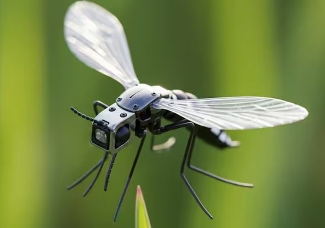 Mosquito Sized Drone: चीनने बनवला डासाच्या आकाराचा रोबोटिक्स ड्रोन, लष्करी ऑपरेशन्समध्ये होणार वापर