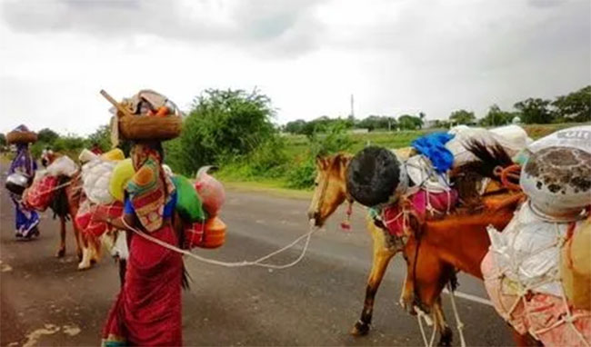 भटके-विमुक्त आदिवासींचे आंदोलन स्थगित