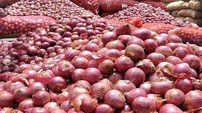 महाराष्ट्रात सध्या मोठ्या प्रमाणावर कांद्याची विक्री नाही – नाफेड