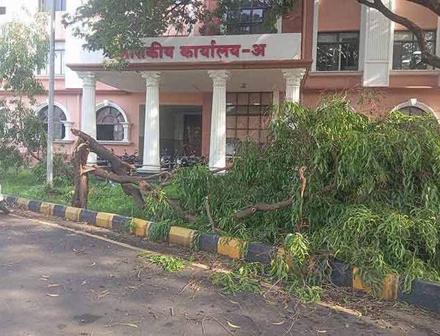 जिल्ह्यात वादळी वाऱ्यांसह पावसाची हजेरी