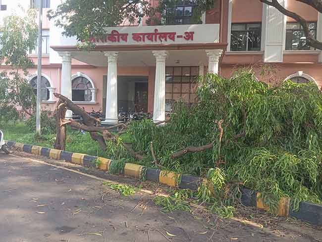 जिल्ह्यात वादळी वाऱ्यांसह पावसाची हजेरी