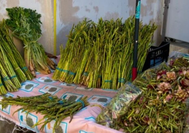 Wild Vegetables: पावसामुळे यंदा रानभाज्यांचे लवकर आगमन, ग्राहकांची मागणी