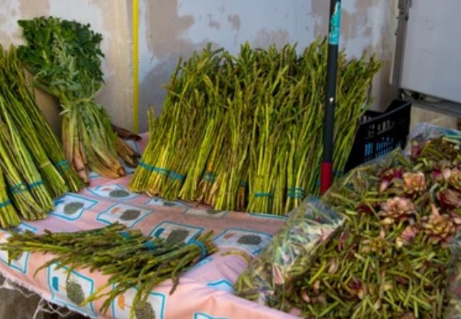 Wild Vegetables: पावसामुळे यंदा रानभाज्यांचे लवकर आगमन, ग्राहकांची मागणी