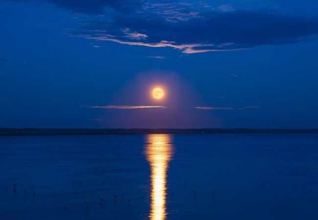 Strawberry Moon: आज रात्री आकाशात पाहायला विसरू नका… गुलाबी रहस्यमयी चंद्र