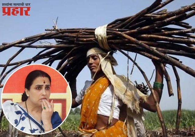बीडमध्ये ८४३ उसतोड महिलांच्या गर्भपिशव्या काढल्या! अखेर, उघड झालं सत्य