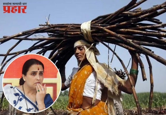 बीडमध्ये ८४३ उसतोड महिलांच्या गर्भपिशव्या काढल्या! अखेर, उघड झालं सत्य