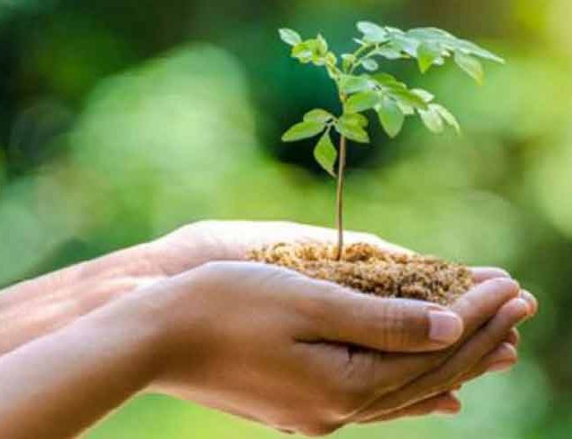 पर्यावरण दिनाच्या निमित्ताने ‘उत्सव वसुंधरे’चा उपक्रम