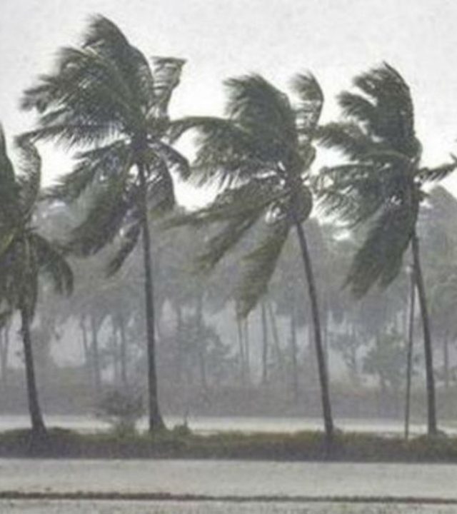 Maharashtra Rain: राज्यात पुन्हा वादळी वाऱ्यासह पावसाची शक्यता