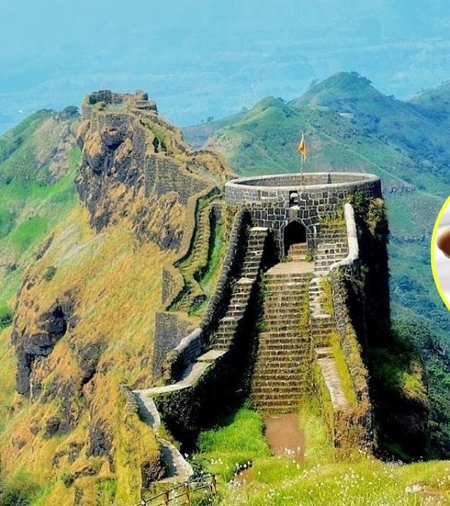 Rajgad Fort : पतीसह गेली राजगड फिरायला; पाय घसरला अन् थेट १५० फूट दरीत कोसळली