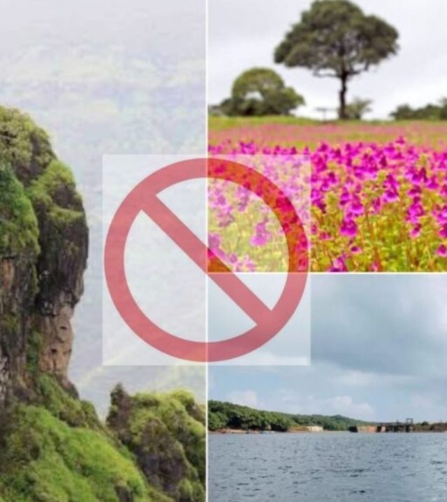 Monsoon Restriction : सातारा जिल्ह्यातील विविध पर्यटन स्थळी पर्यटकांवर १९ ऑगस्टपर्यंत निर्बंध