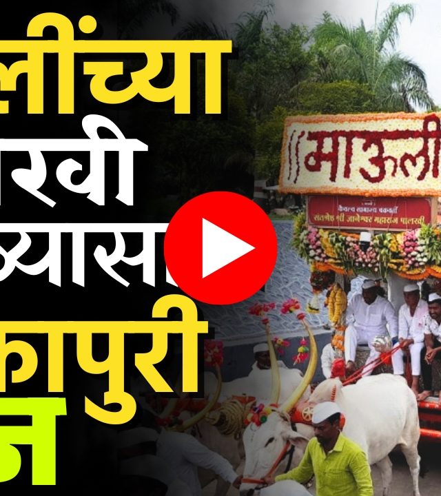 Wari 2025 : हातात पताका, गळ्यात टाळ आणि मुखी विठुरायाचे नाम!