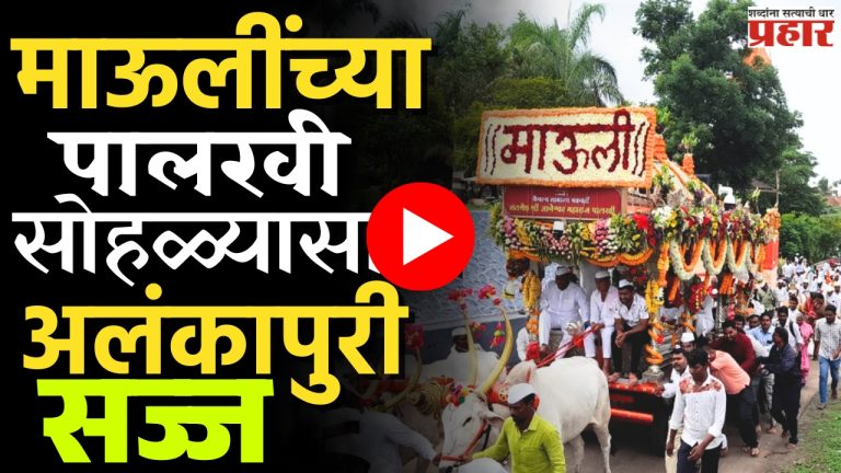 Wari 2025 : हातात पताका, गळ्यात टाळ आणि मुखी विठुरायाचे नाम!