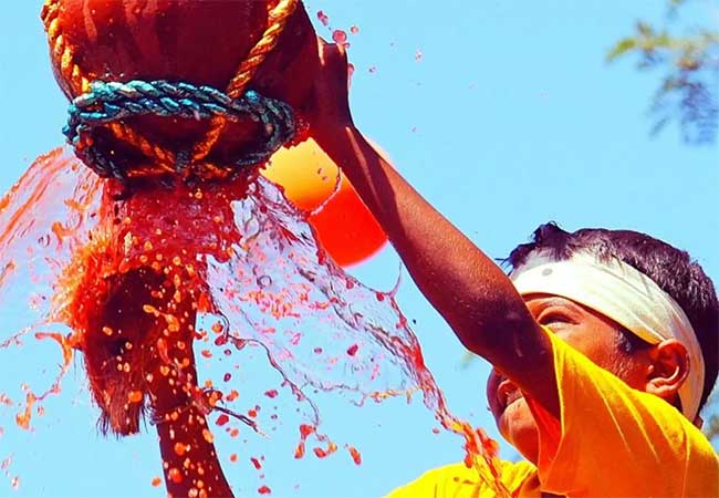गोकुळाष्टमी निमित्त राज्यातील १.५० लाख गोविंदांना विमा संरक्षण