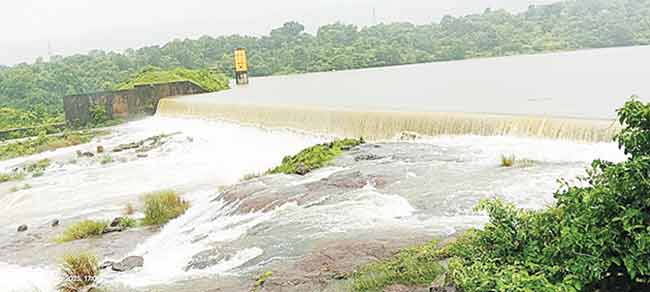 Nashik News : कश्यपी धरणात पती-पत्नीसह चौघांचा बुडून मृत्यू