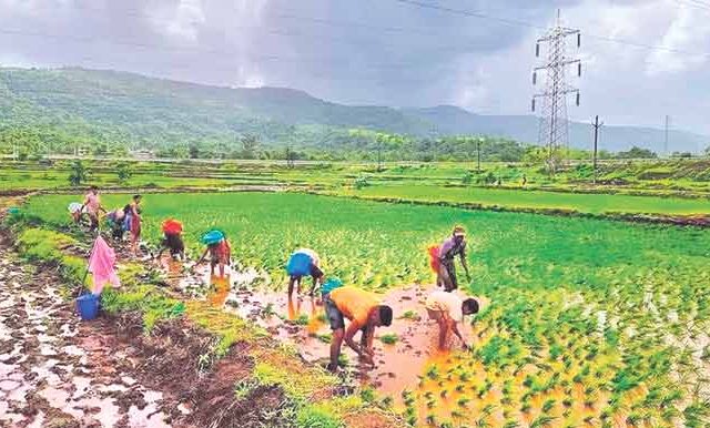 कोकणात ‘कोकण सुवास’चा दरवळ...!